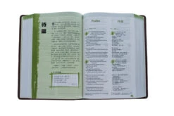 NLT / CNLT English / Chinese Simplified Chinese -Cheap Book Store 202 0048 3