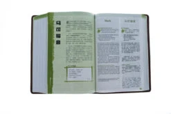 NLT / CNLT English / Chinese Simplified Chinese -Cheap Book Store 202 0048 4