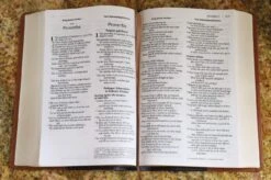 NIV & KJV Side-By-Side Bible/Large Print-Navy/Tan Duo-Tone -Cheap Book Store 202 0049 5