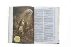 ESV Holy Bible For Kids-Hardcover -Cheap Book Store 204 0092 4