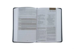 ESV Student Study Bible-Gray TruTone Imitation Leather -Cheap Book Store 204 0116 4