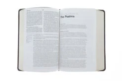 ESV, Gospel Transformation Bible-Trail Design -Cheap Book Store 204 0134 3