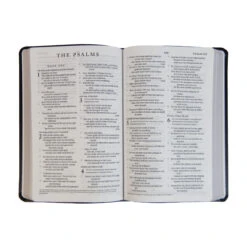 ESV Thinline Bible-Charcoal Crown TruTone Imitation Leather -Cheap Book Store 204 0135 1 2