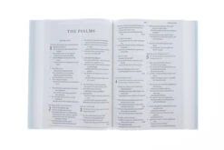 ESV Large Print Bible Blue/Light Blue Hardcover -Cheap Book Store 204 0164 2 1