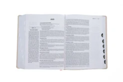 ESV Jesus Bible Artist Edition Peach Floral Leathersoft -Cheap Book Store 204 0191 5