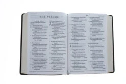 ESV Giant Print Bible (Trutone, Deep Brown) -Cheap Book Store 204 0194 3