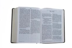 ESV Giant Print Bible (Trutone, Deep Brown) -Cheap Book Store 204 0194 4