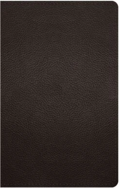 ESV Large Print Personal Size Bible -Cheap Book Store 204 0200 0