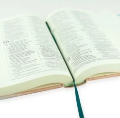 ESV Journaling Bible – Captiva Theme -Cheap Book Store 204 0209 3