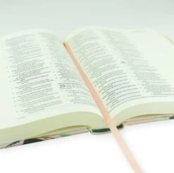 ESV Journaling Bible – Paris Theme -Cheap Book Store 204 0210 4