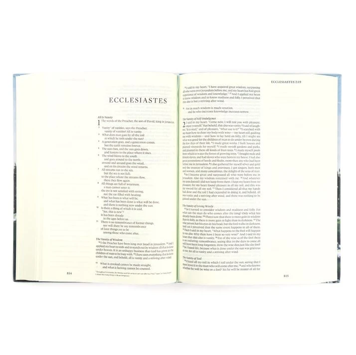 ESV Large Print Journaling Bible – Salzburg Theme 7 ESV Large Print Journaling Bible – Salzburg Theme - Image 5