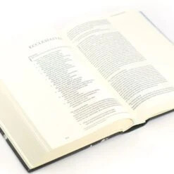 ESV Large Print Journaling Bible – Salzburg Theme 13 ESV Large Print Journaling Bible – Salzburg Theme -Cheap Book Store 204 0213 5