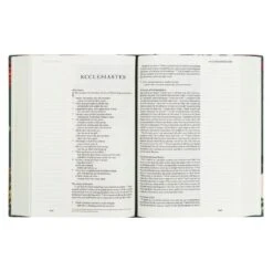 ESV Large Print Journaling Bible – Hollis Theme -Cheap Book Store 204 0215 4