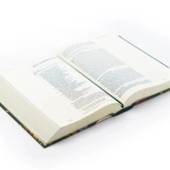 ESV Large Print Journaling Bible – Hollis Theme -Cheap Book Store 204 0215 5