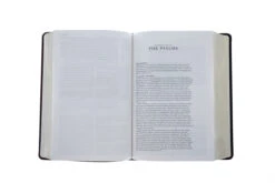 ESV Gospel Transformation Study Bible TruTone, Burgundy/Red, Imitation Leather -Cheap Book Store 204 0461 2