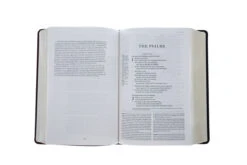 ESV Gospel Transformation Study Bible TruTone, Burgundy/Red, Imitation Leather -Cheap Book Store 204 0461 3