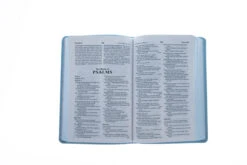 ICB Precious Moments Holy Bible – Blue Edition Imitation Leather -Cheap Book Store 205 0010 3