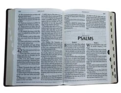 KJV Super Giant Print Lux-Leather Burgundy 10 KJV Super Giant Print Lux-Leather Burgundy -Cheap Book Store 206 0006 4 1