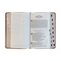 KJV Personal Size Reference Brown Leathersoft Indexed -Cheap Book Store 206 0091 2
