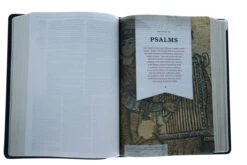 KJV Study Bible, Full-Color, Navy Leathertouch -Cheap Book Store 206 0172 4