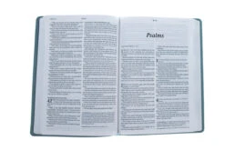 KJV Large Print Thinline Reference Bible -Cheap Book Store 206 0217 3 1