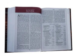 KJV Study Bible Second Edition-Hardcover -Cheap Book Store 206 0385 3
