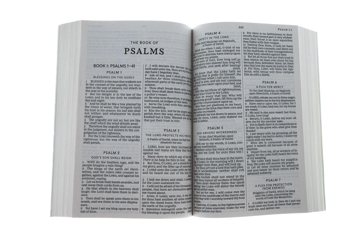 KJV, Holy Bible, Larger Print, Paperback, Paperback 6 KJV, Holy Bible, Larger Print, Paperback, Paperback - Image 4