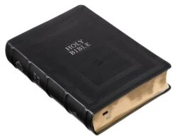 KJV Study Bible, Standard Print Faux Leather Flexcover -Cheap Book Store 206 0832 2