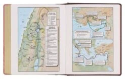 KJV Notetaking Bible Twotone Pink/Brown Floral Faux Leathe -Cheap Book Store 206 0841 4