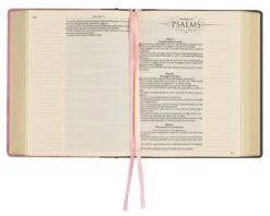 KJV Notetaking Bible Twotone Pink/Brown Floral Faux Leathe -Cheap Book Store 206 0841 5