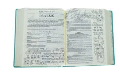 KJV Teal Faux Leather Hardcover My Promise Bible -Cheap Book Store 206 0847 3