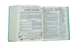 KJV Teal Faux Leather Hardcover My Promise Bible -Cheap Book Store 206 0847 4