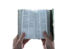 KJV Compact Bible Olive Petals -Cheap Book Store 206 0865 2