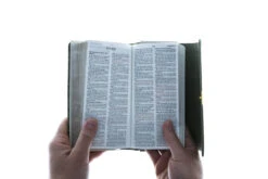 KJV Compact Bible Olive Petals -Cheap Book Store 206 0865 3