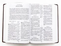 KJV Large Print Verse Art Cover Bible – Brown -Cheap Book Store 206 0871 1 1