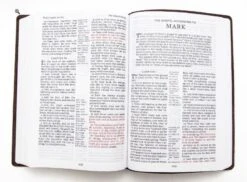 KJV Large Print Verse Art Cover Bible – Brown -Cheap Book Store 206 0871 2