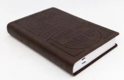 KJV Large Print Verse Art Cover Bible – Brown -Cheap Book Store 206 0871 3