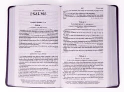 KJV Personal Size Large Print Single-Column Reference Bible – Purple -Cheap Book Store 206 0881 1