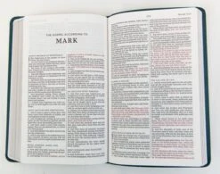 KJV Thinline Youth Edition Bible, Verse Art Cover – Teal -Cheap Book Store 206 0890 2