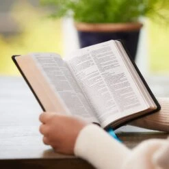 KJV Compact Bible, MacLaren Series, Leathersoft, Brown -Cheap Book Store 206 0907 1