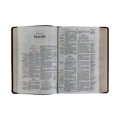 KJV Thompson Chain-Reference Bible – Brown -Cheap Book Store 206 0945 3 1
