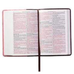 KJV Burgundy And Pink Faux Leather Compact Bible -Cheap Book Store 206 0990 2