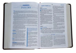 KJV, Charles F. Stanley Life Principles Bible, 2nd Edition, Genuine -Cheap Book Store 206 1049 3