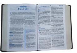 KJV, Charles F. Stanley Life Principles Bible, 2nd Edition, Leathersoft, -Cheap Book Store 206 1052 2