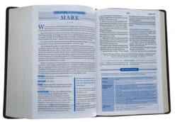 KJV, Charles F. Stanley Life Principles Bible, 2nd Edition, Leathersoft, -Cheap Book Store 206 1052 4