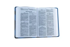 KJV Compact Ultrathin Bible For Teens, Blue Vortex LeatherTouch -Cheap Book Store 206 1053 3