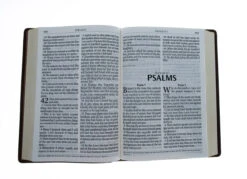 KJV Bible Super Giant Print Tan -Cheap Book Store 206 1072 3