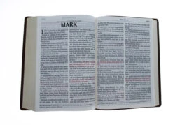 KJV Bible Super Giant Print Tan -Cheap Book Store 206 1072 4