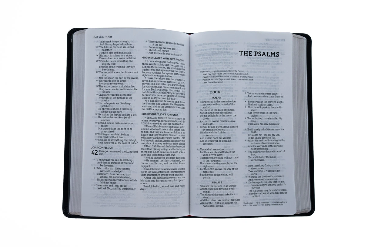 NASB, Thinline Bible, Bonded Leather, Black, Red Letter Edition 5 NASB, Thinline Bible, Bonded Leather, Black, Red Letter Edition - Image 3