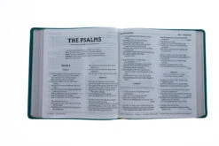 NASB 1995 XL Bible, Comfort Print–Soft Leather-look, Teal -Cheap Book Store 208 0058 3